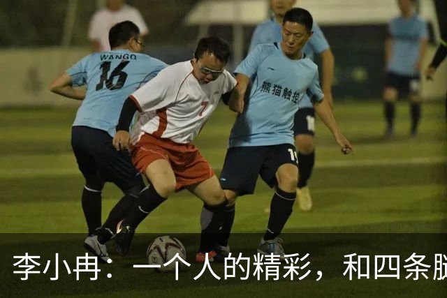 李小冉：一个人的精彩，和四条腿的快乐